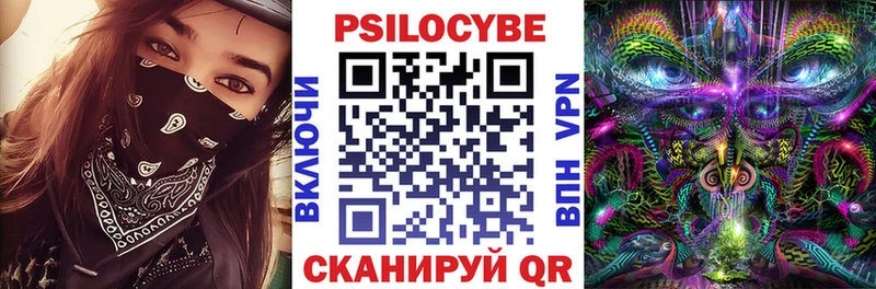 хочу   Крымск  Псилоцибиновые грибы Psilocybine cubensis 